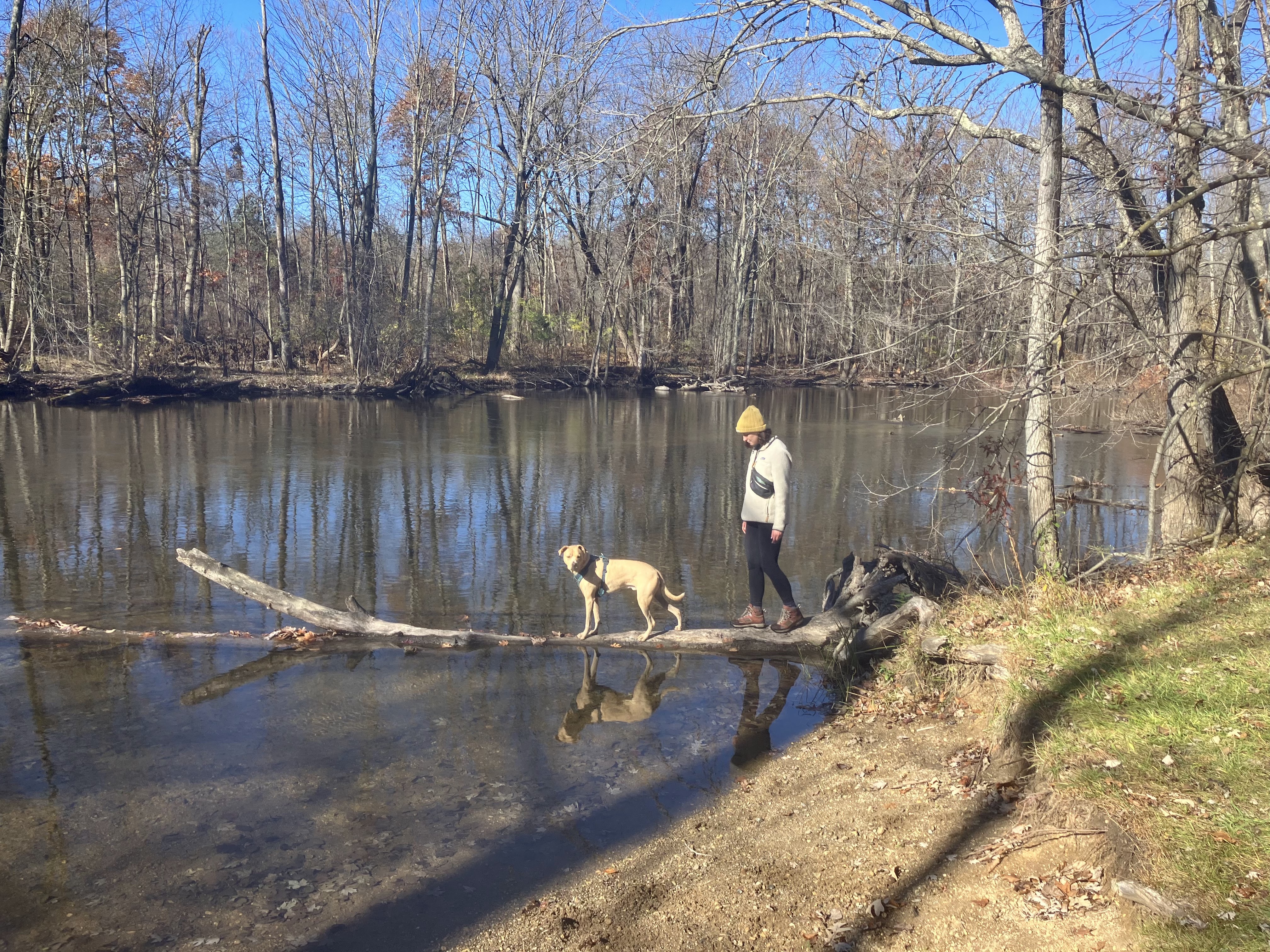 Madelin Parsley with her dog on a fallen log over water